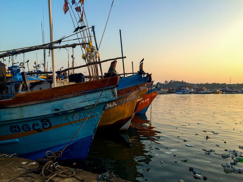 Proues de bâteaux de pêches multicolores dans un port, Sri-Lanka 2016.